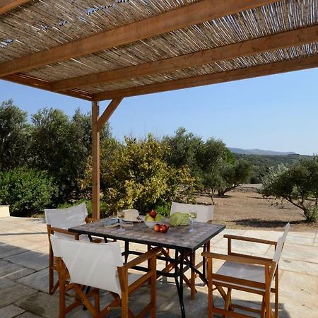 Hasienta House Frillingiánika المظهر الخارجي الصورة